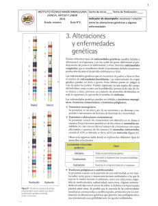 guía n°4 alteraciones y enfermedades genéticas.