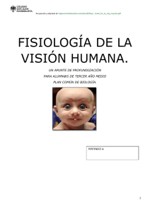 FISIOLOGÍA DE LA VISIÓN HUMANA.