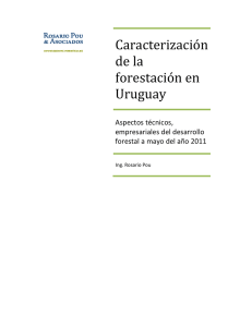 Caracterización de la forestación en Uruguay