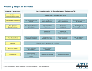 ATM_804_Stage Process and Services Chart_SPANISH.cdr