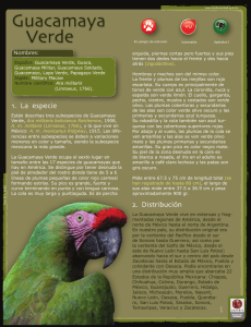 Nombres - Biodiversidad Mexicana