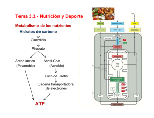 ATP Tema 3.3.- Nutrición y Deporte