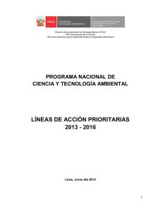 LÍNEAS DE ACCIÓN PRIORITARIAS 2013 - 2016