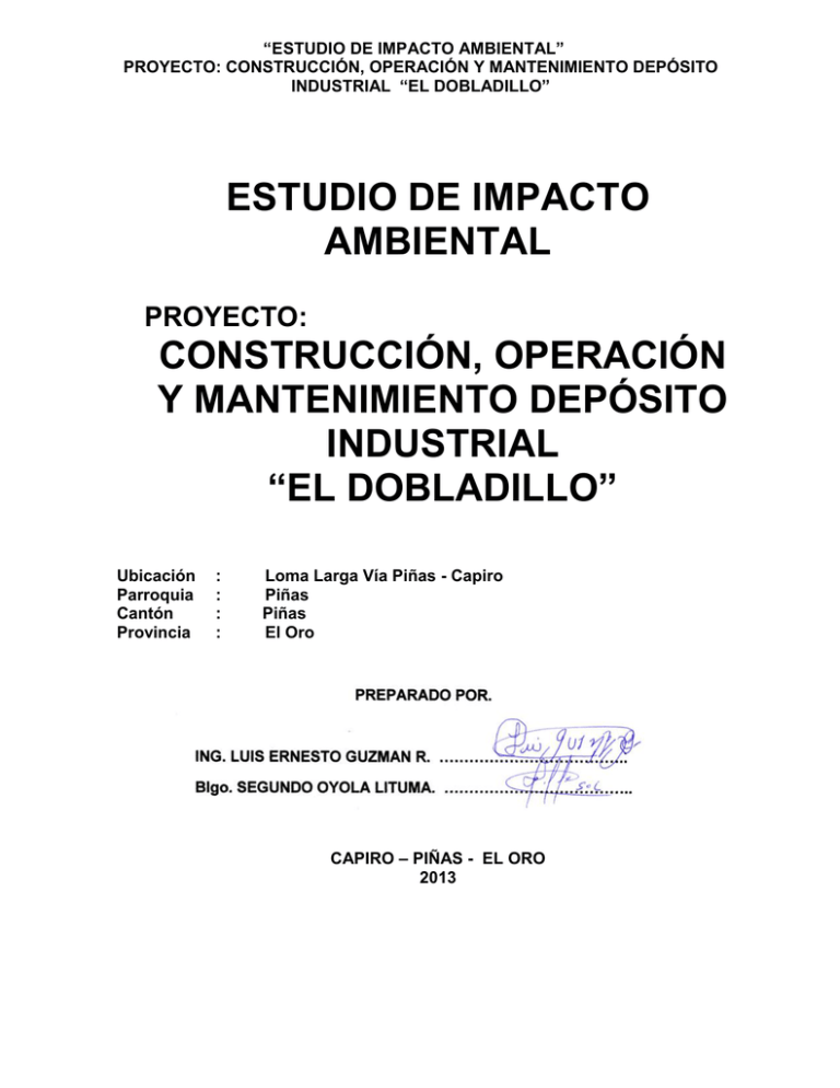 Estudio De Impacto Ambiental Construcci N