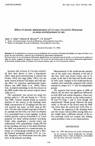 Effect of chronic administration of Cecropia obtusifolia (Moraceae)