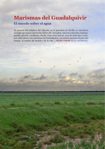 Marismas del Guadalquivir - La luz del mundo | Jesús Rodríguez