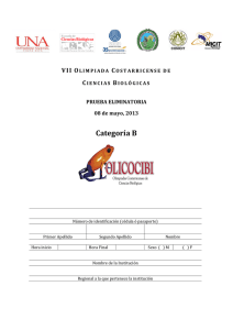 olicocibi - 2013. examen terico categora b