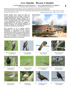 Aves Almeida - Boyacá, Colombia