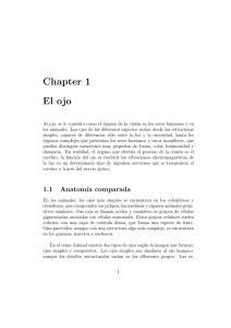 Chapter 1 El ojo