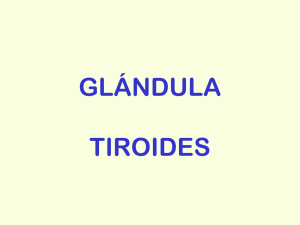 glándula tiroides - Sesiones Clínicas de PAAF