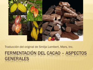 Fermentación del Cacao – ASPECTOS GENERALES