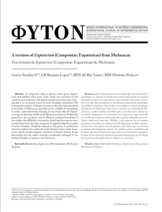 A revision of Eupatorium (Compositae: Eupatorieae) from Michoacan