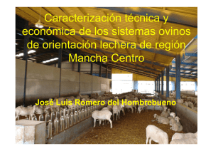 Caracterización técnica y económica de los sistemas ovinos de