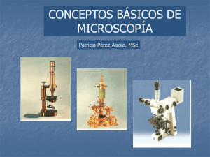 CONCEPTOS BÁSICOS DE MICROSCOPÍA - U
