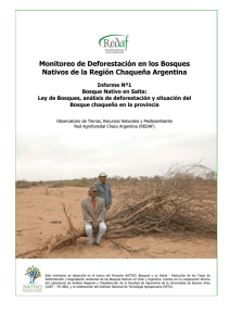 Monitoreo de Deforestación de los Bosques Nativos en la Región