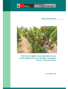 Informe de registro de productores de uva, setiembre 2008.
