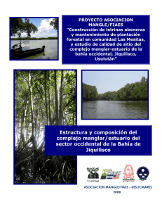 Estructura y composición del complejo manglar/estuario del sector