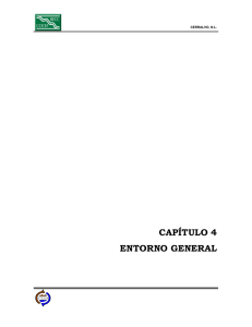 CAPTULO I