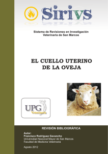 el cuello uterino de la oveja - Facultad de Medicina Veterinaria