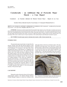Costodorsalis – an Additional Slip of Pectoralis Major Muscle