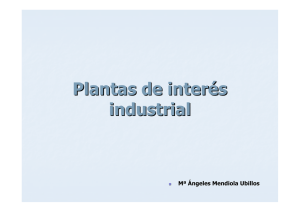 Plantas de interés industrial