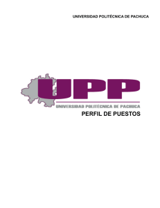 perfil de puestos - Universidad Politécnica de Pachuca