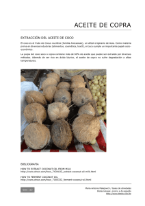 113 Extracción de aceite de coco PDF - BioTecnologia