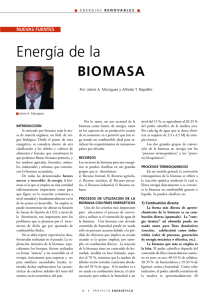 licuefacción de biomasa