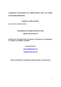Alternativa estratégica de competitividad para las PYMES