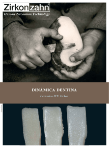 dinámica dentina