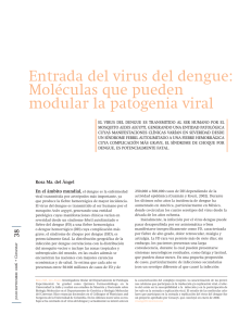 Entrada del virus del dengue: Moléculas que pueden