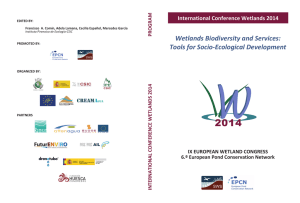 Wetlands Biodiversity and Services: Tools for