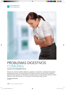 problemas digestivos comunes