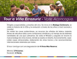 Tour a Viña Errazuriz - Valle Aconcagua.
