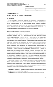 File - Morfología Vegetal
