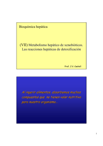 Bioquímica hepática (VII) Metabolismo hepático de xenobióticos