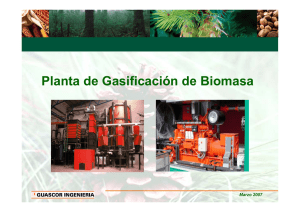 Planta de Gasificación de Biomasa