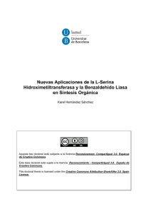Nuevas Aplicaciones de la L-Serina Hidroximetiltransferasa y