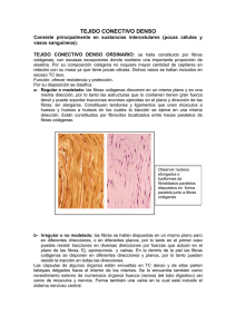 tejido conectivo denso, sinovial y cartilago