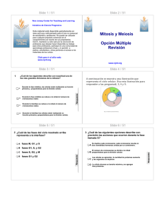 Mitosis y Meiosis Opción Múltiple Revisión