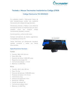 Teclado + Mouse Tecmaster Inalámbrico Código 27838