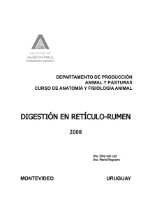 digestión en retículo-rumen - Departamento de Producción Animal y