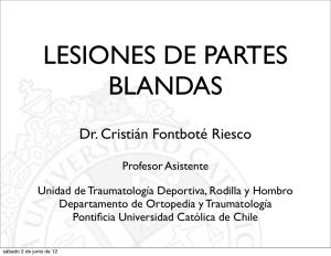 lesiones de partes blandas