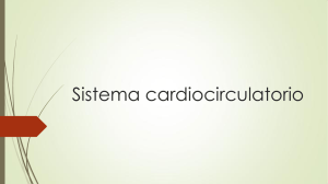 Sistema cardiocirculatorio