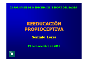 reeducacion propioceptiva - 27 Jornades de Medicina de l`Esport