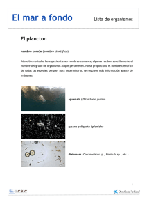 lista organismos plancton