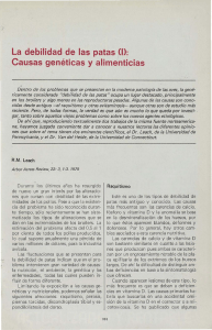 La debilidad de las patas (1): Causas genéticas y alimenticias