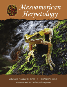 view / - Mesoamerican Herpetology