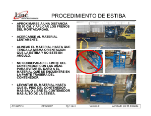 PROCEDIMIENTO DE ESTIBA