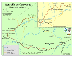 Montaña de Comyagua - Velasquez Family Coffee